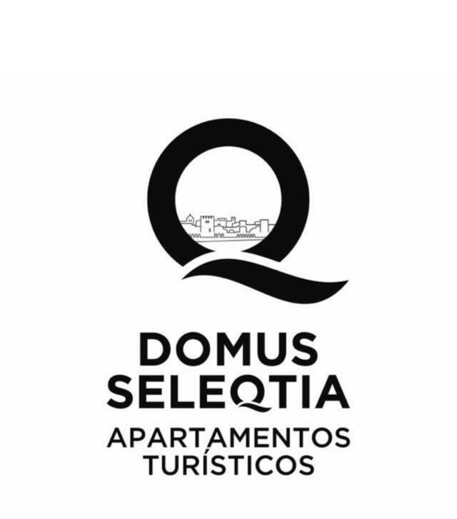 Domus Seleqtia Plaza De Santiago Lägenhet Caces Exteriör bild